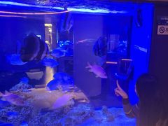 -上和臻品中国菜(花园街店)