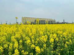 -中国天府农业博览园