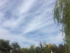 -武清南湖绿博园