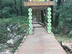 -大岭沟猕猴桃谷风景区