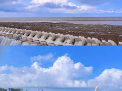 -南汇嘴观海公园