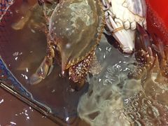 -温州铂尔曼酒店蘭 咖啡厅