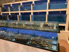 水产区-利雅园酒家(大沙地店)