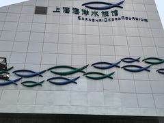 -上海海洋水族馆