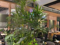 -gaga(深圳福田星河COCO Park店)