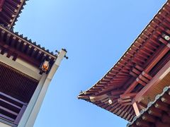 -杭州城北体育公园