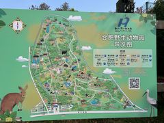 -合肥野生动物园