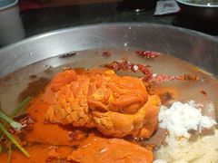 -潮辣成都老火锅(奉贤扶港路店)