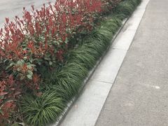 -诸暨次坞打面(广贤路店)