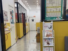 -瑞派·爱瑞可动物医院·口腔专科(广华新城分院)