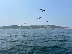 -养马岛旅游度假区