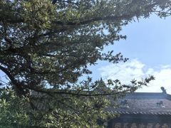 -成都市文殊院