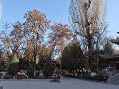 -张掖大佛寺景区