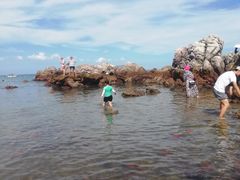 -西涌国际滨海旅游区