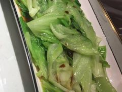-南枝记