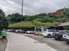 -全汁全味驴庄(凤岗店)