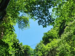 -北京上方山国家森林公园
