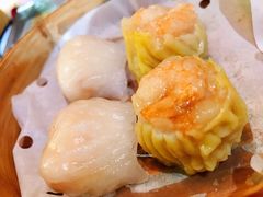 -憶廟街 X 沙角邨(太古城店)
