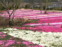 -鳌山滑雪度假区