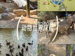 -泉州海丝野生动物世界