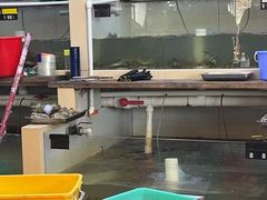 -蟹天蟹地农家菜·阳澄湖大闸蟹(浅水湾店)