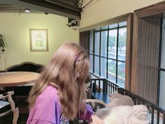 -more than meow吴止猫主题餐厅(承德 中船汇店)