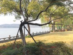 -杭州西湖柳莺里酒店·闻莺厅