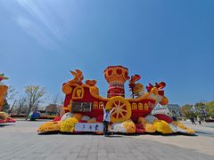 -荷兰花海
