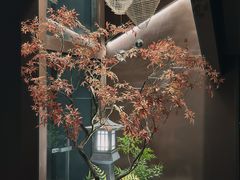 -椿杨樘·明康泡浴养生馆(重庆店)