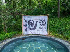 -美的鹭湖森林度假区