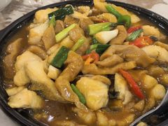 红烧鲈鱼-江东鲈鱼馆