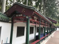 -新川办餐厅