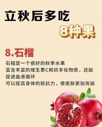 -雅曼妮spa美容养生