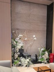 -恒美雅轩·品牌直营连锁