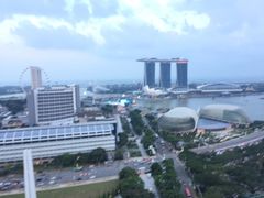 -新加坡瑞士史丹福酒店