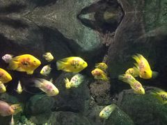 -苏州海洋馆