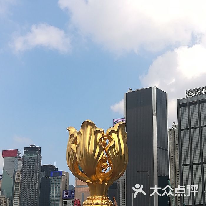东山金紫荆广场图片
