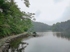 -四明山国家森林公园