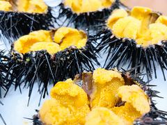 -海胆小馆(东北水饺·春柳店)