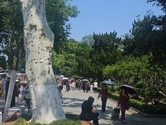-婆婆烧烤