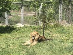 -西安秦岭野生动物园
