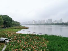 -南宁南湖公园