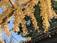 -张家港凤凰山景区恬庄古街