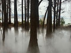 -东湖落雁景区