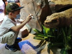 -酷嗒动物文化乐园(cutezoo西溪乐天城店)