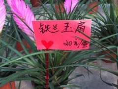 -北戴河集发农业梦想王国