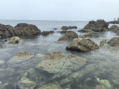 -养马岛旅游度假区