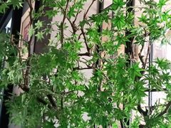 -贝勒爷·酥不腻烤鸭