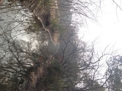 -蜀冈西峰生态公园