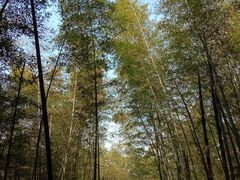 -南山风景名胜区